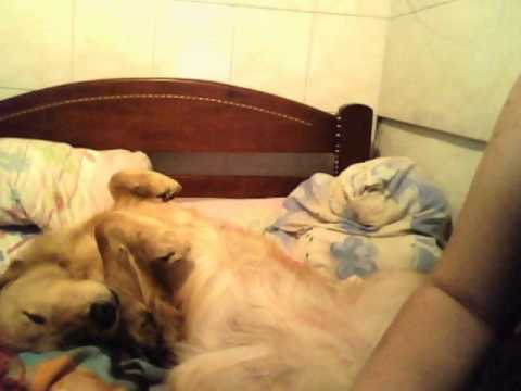 Dayra.. Adios A Un Amigo