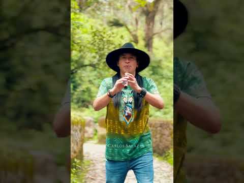 Inkapa Puriñan - Andean Song #coversong #flute #peguche #beautiful #nature #subscribetomychannel