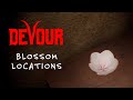 Cherry Blossom Locations at The Inn in Devour