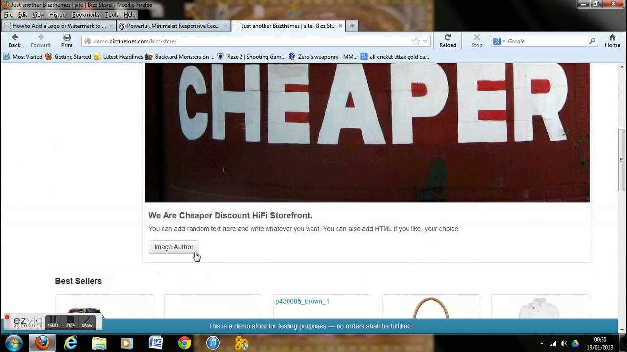 Responsive Ecommerce WordPress Theme -- Bizz Store review by digitcrunch