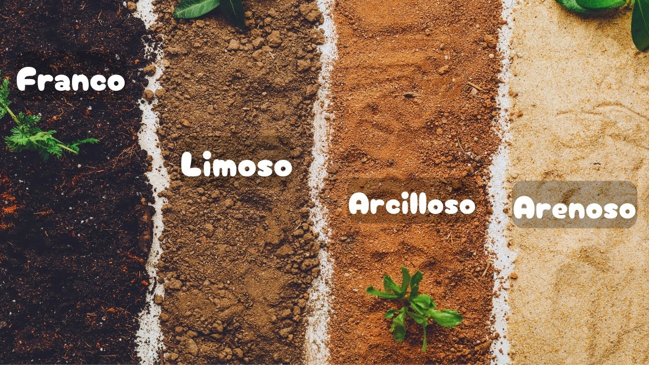 |Tipos de suelo| Características y usos🌱