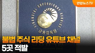 금감원, 불법 주식 리딩 유튜브 채널 5곳 적발 / 연합뉴스TV (YonhapnewsTV)