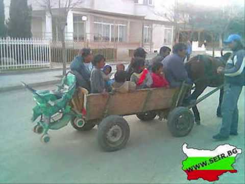 Liceto Mite Fed Pikasso Stealt Beauty G-Mel - D.E.V.M.S