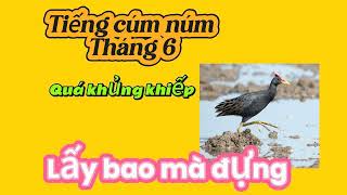 Download lagu tiếng cúm núm tháng 6 cực hay.thương tặng anh em kiếm cơm.0949858434 mp3 Download lagu tiếng cúm núm tháng 6 cực hay.thương tặng anh em kiếm cơm.0949858434 mp3