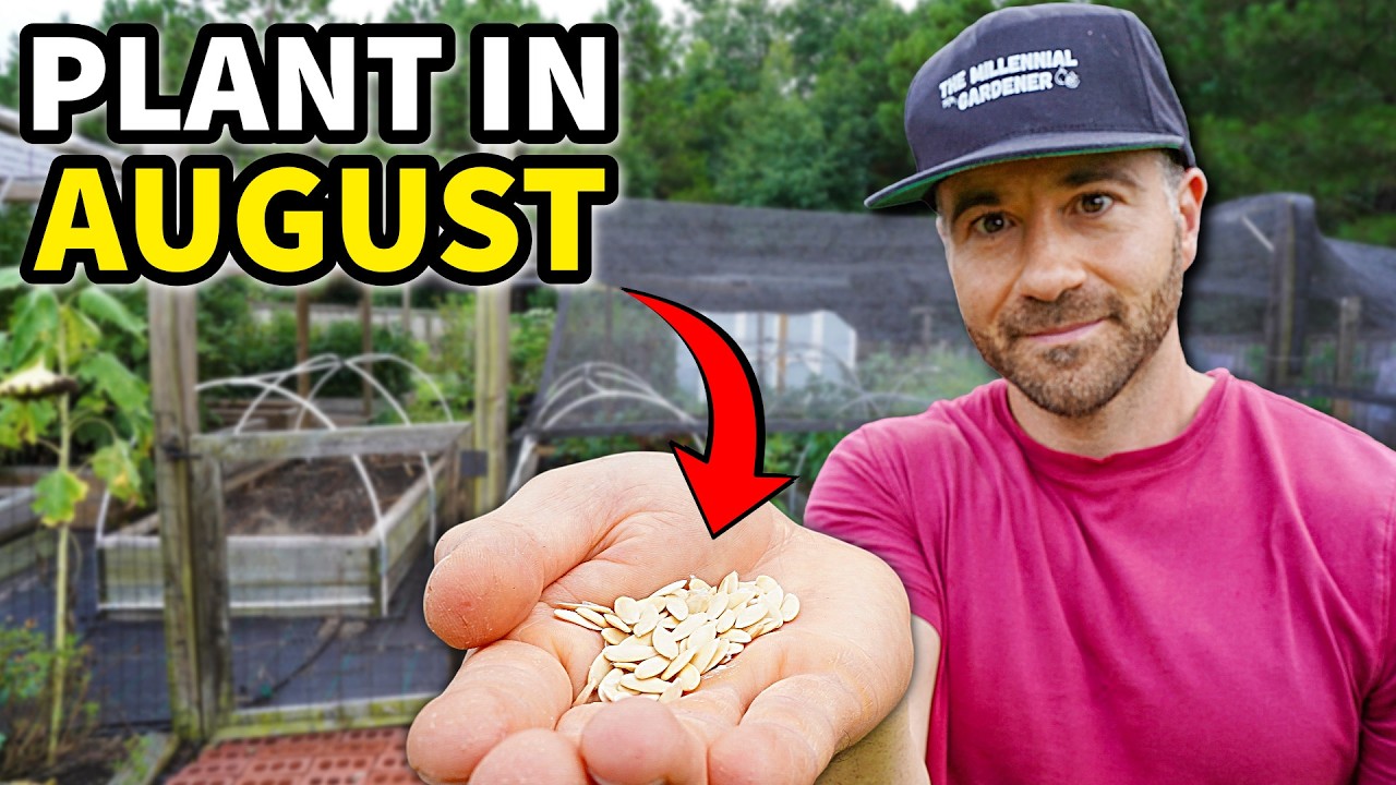 5 Crops You'll HATE NOT PLANTING in August!