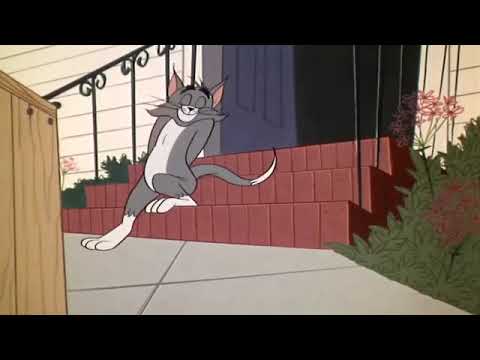 Tom and jerry-small yellow dog