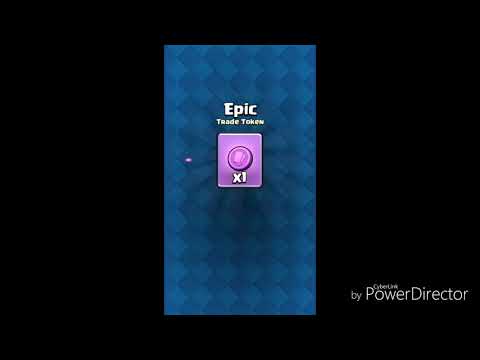 2.6 Hog Cycle Montage