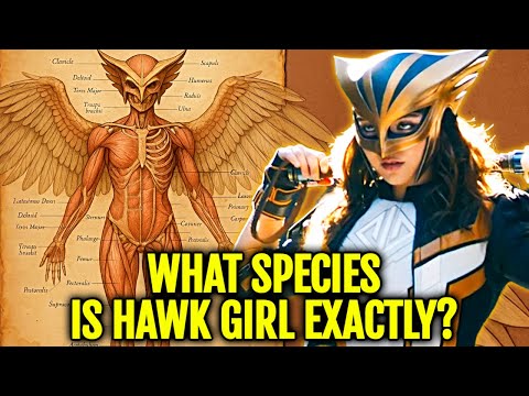 Hawkgirl Anatomy Explored - Can Her Nth Metal Mace Tear Off Superman's Chest If Used Properly?