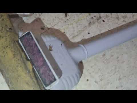 Cockroaches Flourishing in the Apartment in Belle Mead, NJ