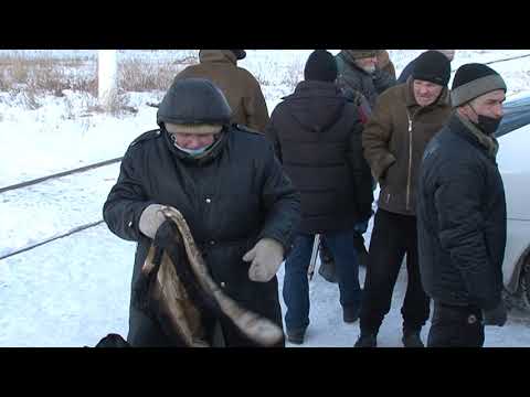 Рекордное количество курян пришло на благотворительный обед Светланы Козиной
