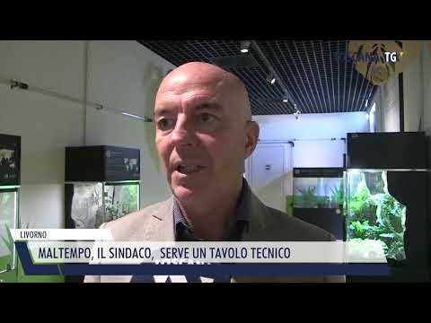 2023-12-06 LIVORNO - MALTEMPO, IL SINDACO,  SERVE UN TAVOLO TECNICO