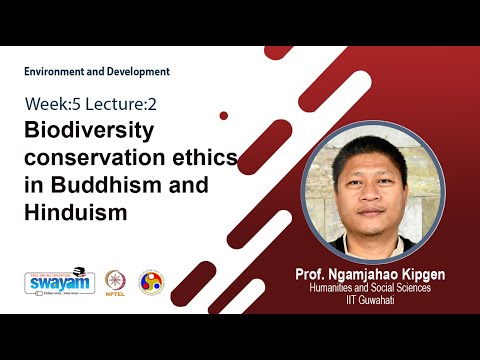 Environment and Development Intro Video