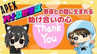 【APEXランクマッチ】四十路俱楽部「頼りになるドーム兄さん」