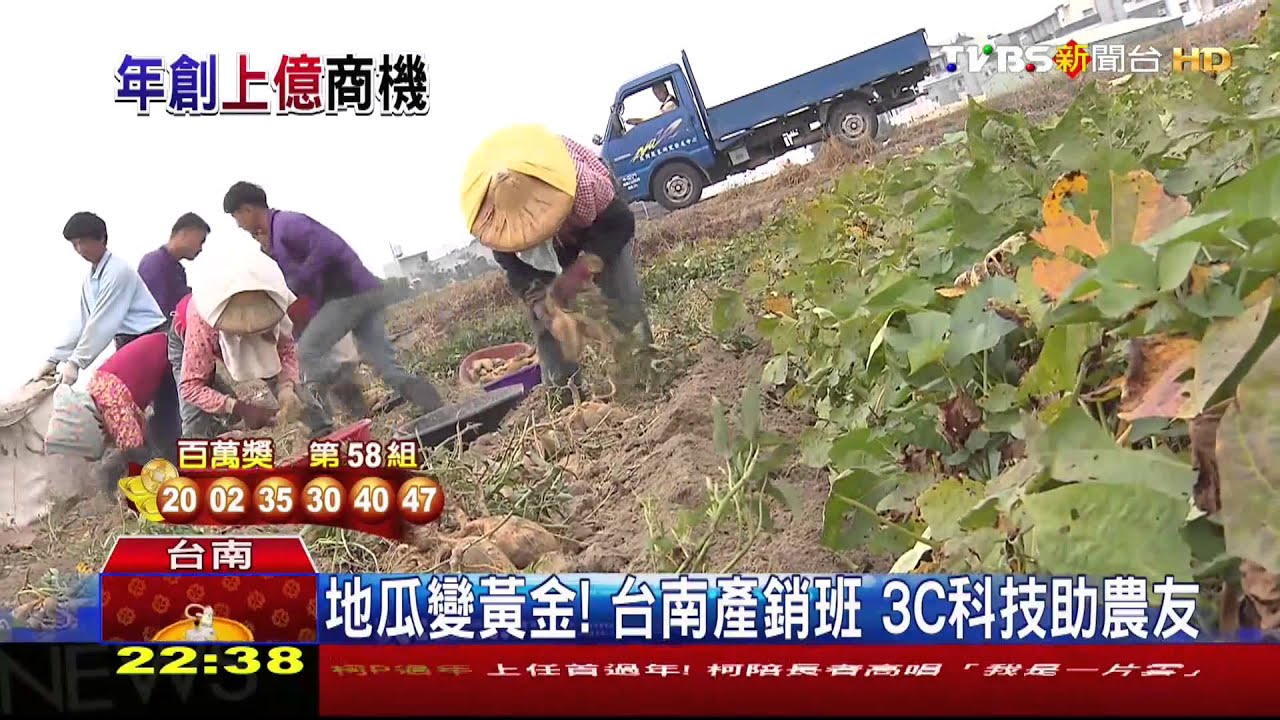 地瓜變黃金! 台南產銷班3C科技助農友
