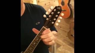 Video thumbnail for Shawn Brock plays Cluck Old Hen on The Loar LM 220 VS mandolin by ShawnBrockMusic