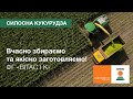 Семена кукурузы КВС® БИГБИТ (KWS) — гибрид ФАО 290 BEST4MILK для силоса, биогаза и круп.