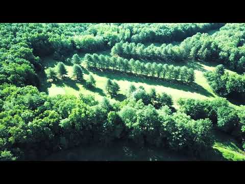 Pine Grove Golf Course