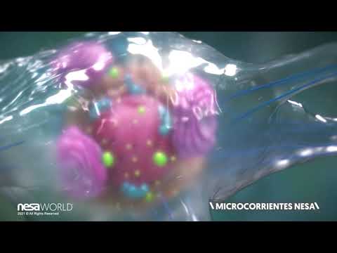 Sinapsis Neuronal y Microcorrientes NESA® [ES🇪🇸] Feat. NESA WORLD®