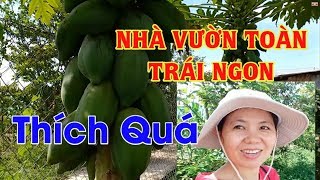 preview picture of video 'Tham quan nhà vườn đủ loại trái cây sạch cùng Phan Rang Life'
