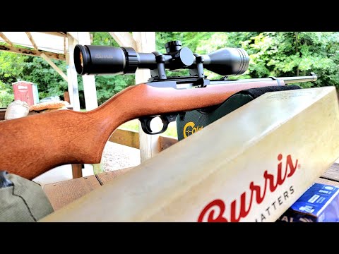 inexpensive scope option:  Burris Droptine