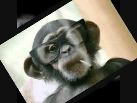 R-Gallery﻿ - Robix-E