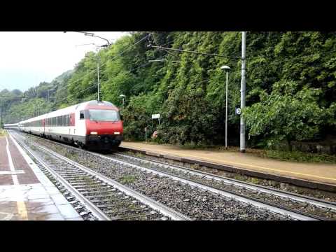 UN REGIONALE IN TRANSITO A PREGLIA. (VB) 25 - 6 - 2016