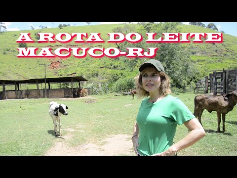 Episódio 2: NA ROTA DO LEITE,MACUCO-RJ