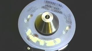 Sequins ~ Where's Your Love Been?