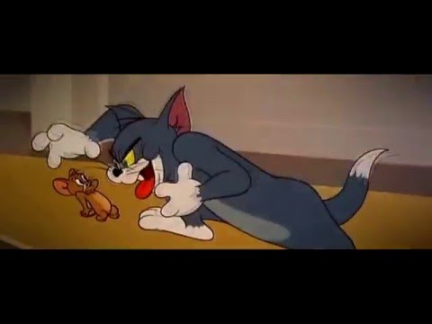 Wozu - Jestem Kotem (Błyskotliwe linie)