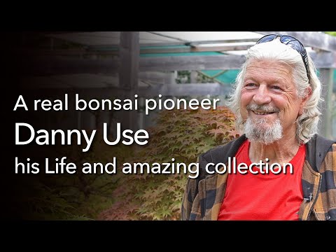 Bonsai Design - Danny Use teaches us, time is your best friend