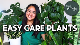 Plant Recommendations for Beginners (6 easy care plants!)