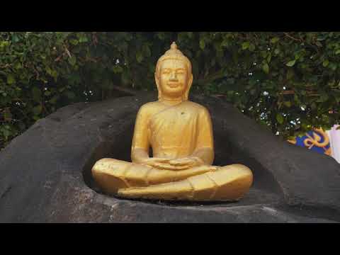 KOSMODROM - Gravitationsnarkose- ' Buddha Fuzz'