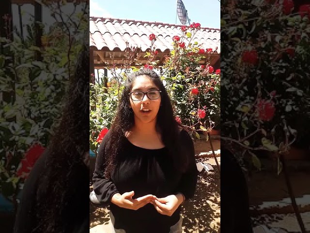 Vídeo relacionado con Mariscadora, La