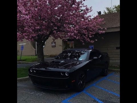 (Free) Macan x Ramil Type Beat - Alive