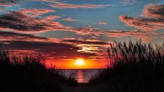 Kråkesølv - Kalde føtter