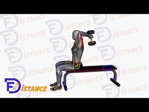 Extension des bras avec haltères au-dessus de la tête (assis) - Exercice Extension des bras avec haltères au-dessus de la tête (assis) en vidéo
