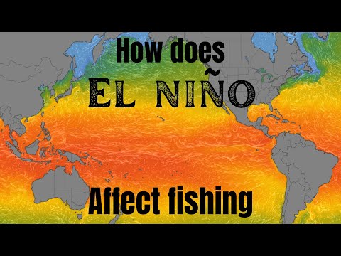 How does El Niño affect fishing