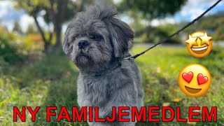 Vlogg 449 - Vi får en ny familjemedlem!