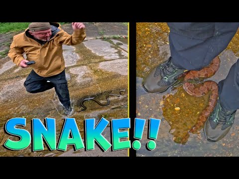 A Huge SNAKE Crawled Between My Legs! Urban Exploring City Canal!