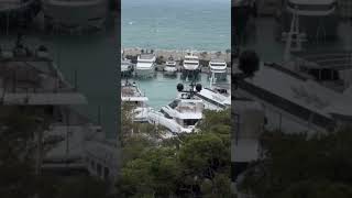 something in those waters😲😱 #viral #travel #vlog #foryou #dailyvlog #cruise #cruiseaddict #blog