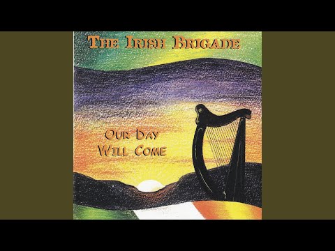 Fenian Record Player - The Irish Brigade