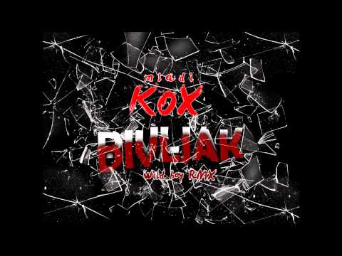 Kovach - Divljak ( Wild Boy RMX ) 2012