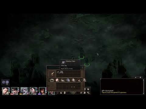 Pillars of Eternity II: Deadfire - PotD Part 9 - Old City Ruins