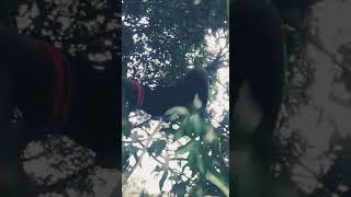 Cocoon (when I take drugs I go to the moon)