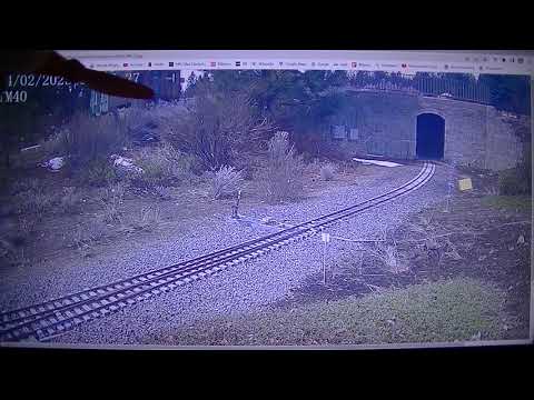 MongoTV_12600 - GARDEN RAILWAY - Part 62 - Train Mountain Railroad - Sunday 1.10 PM