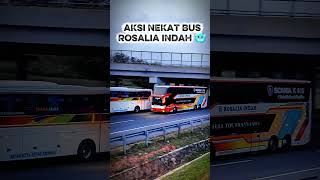Download lagu The Rosalia Indah bus was reckless in overtaking the Sinar Jaya bus. #shorts #bus mp3