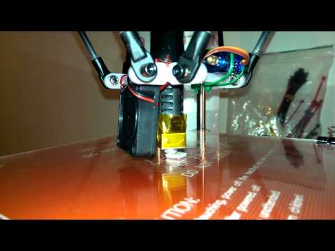 Delta 3D Printer - First Print