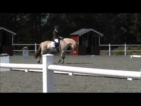 Feis finaleprogram for 5 åringer 20.mai 2012