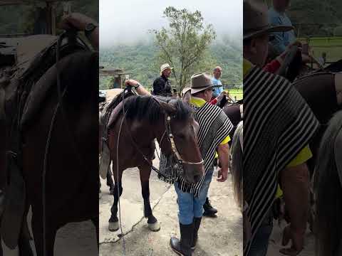 Salento Colombia Horse ride