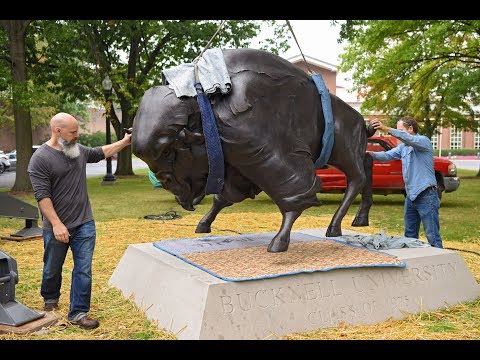 Bucknell University: New Bison Statue Time Lapse